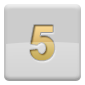 5 Day