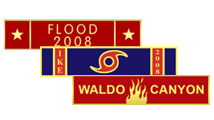 Disaster Response
