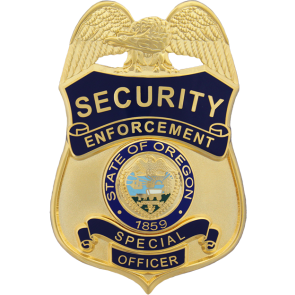Security Enforcement Special Officer